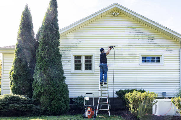 Best Affordable Power Washing  in Sauk Centre, MN