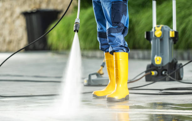 Best Affordable Power Washing  in Sauk Centre, MN