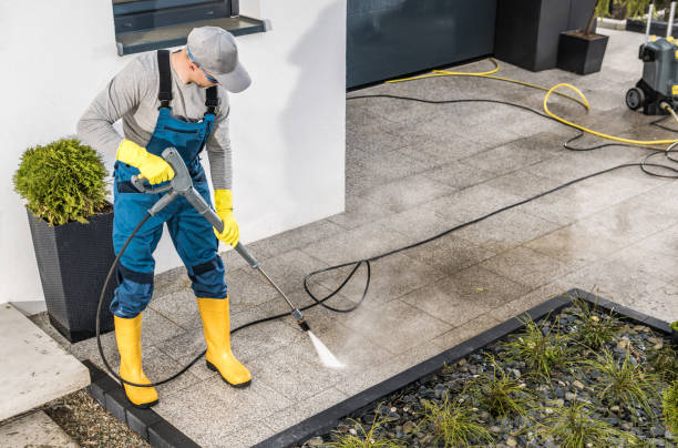Best Affordable Pressure Washing  in Sauk Centre, MN