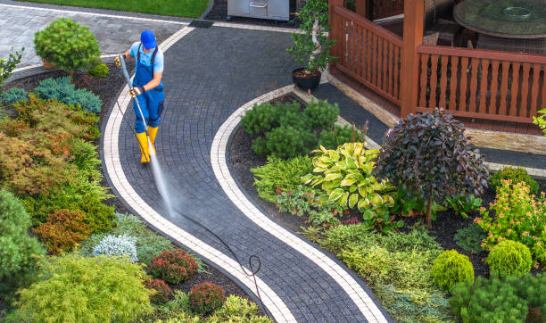 Best Affordable Power Washing  in Sauk Centre, MN