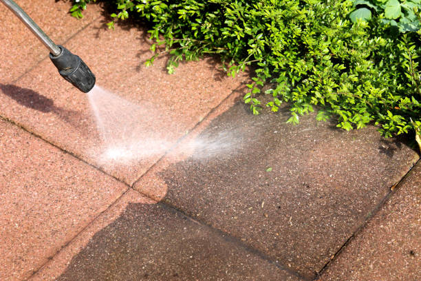 Best Sidewalk Pressure Washing  in Sauk Centre, MN